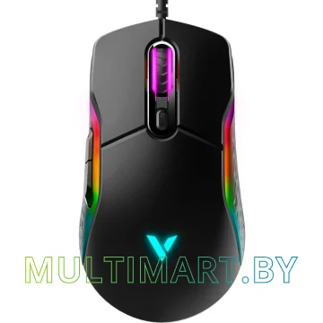Мышь Rapoo VT200